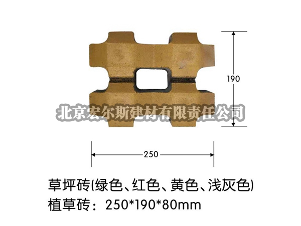 草坪磚 (6)