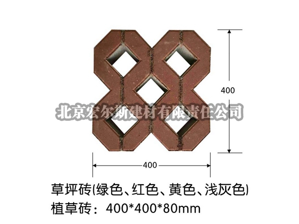 草坪磚 (4)